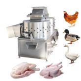 bird processing inside outside bird
