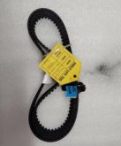 Timing Belt