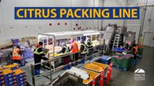 Citrus Packing Lines
