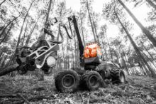 Cabin glass for forestry machines