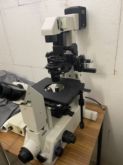 Microscopio de fluorescencia invertido NIKON