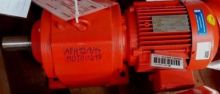 gear motor