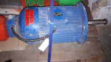 gear motor