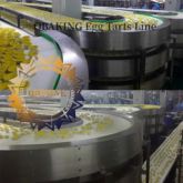 OBAKING/OBESINE OBX-2W