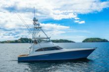 2016 Viking C32A