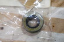 Paraolio Caterpillar