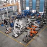 Automated Case Packer and Palletizer