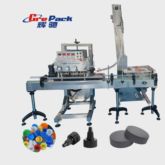 Fully Automatic Capping Machine with