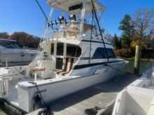 1993 Bertram 37 Convertible |