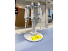 (6) Pipetten Eppendorf Research Plus