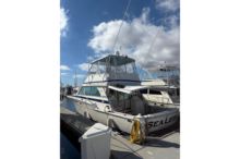 1978 Bertram 46.6 46'