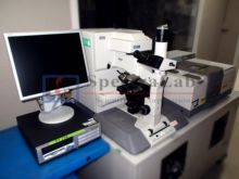 Used Microscopes For Sale In Canada Machinio