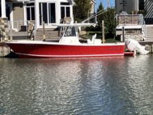 2020 Regulator Regulator 31