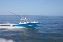 2026 Regulator Regulator 31