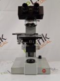 Microscopio binocular Leitz