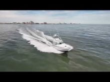 2017 Bertram 36 Moppie